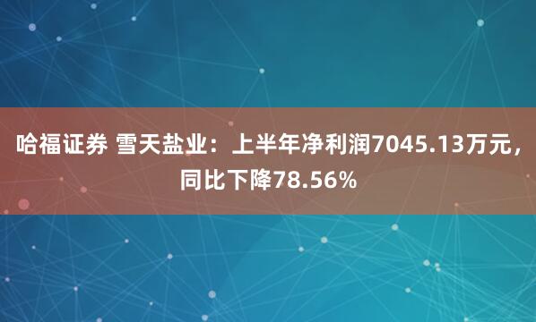 哈福证券 雪天盐业：上半年净利润7045.13万元，同比下降78.56%
